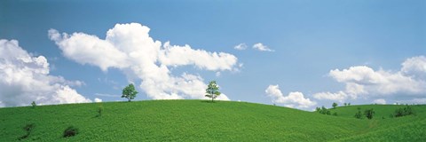 Framed Grassland with blue sky and clouds Print