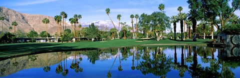 Framed Reflection of trees on water, Thunderbird Country Club, Rancho Mirage, Riverside County, California, USA Print