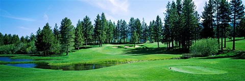 Framed Golf course, Edgewood Tahoe Golf Course, Stateline, Douglas County, Nevada, USA Print