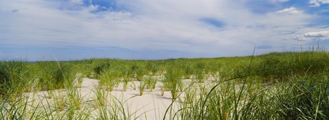 Framed Sand dunes at Crane Beach, Ipswich, Essex County, Massachusetts, USA Print