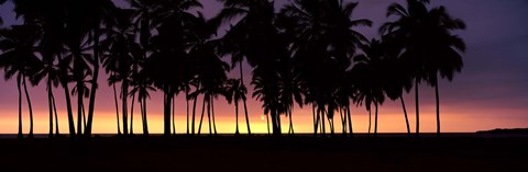 Framed Silhouette of palm trees on the beach, Puuhonua o Honaunau National Historical Park, Big Island, Hawaii, USA Print