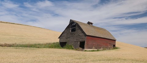 Framed Barn in a wheat field, Colfax, Whitman County, Washington State, USA Print