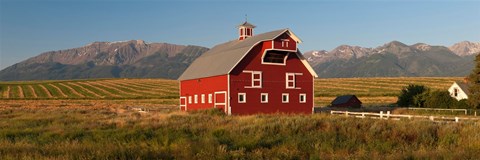 Framed Barn in a field with a Wallowa Mountains in the background, Enterprise, Wallowa County, Oregon, USA Print