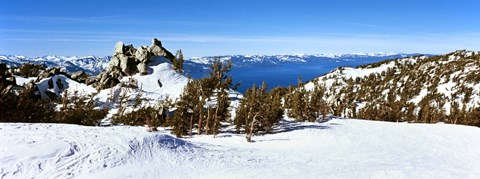 Framed Trees on a snow covered landscape, Heavenly Mountain Resort, Lake Tahoe, California-Nevada Border, USA Print