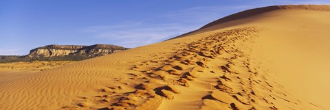 Framed Sand dunes in the desert, Coral Pink Sand Dunes State Park, Utah, USA Print