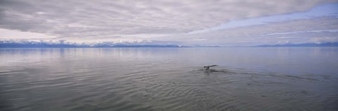 Framed Clouds over the sea, Frederick Sound, Alaska, USA Print