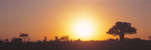 Framed Sunset, Tarangire, Tanzania, Africa Print