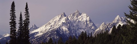 Framed Cathedral Group Mountains, Grand Teton National Park, Wyoming Print