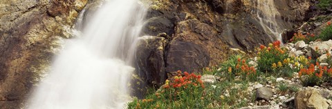 Framed Spalding Falls Grand Teton National Park WY Print