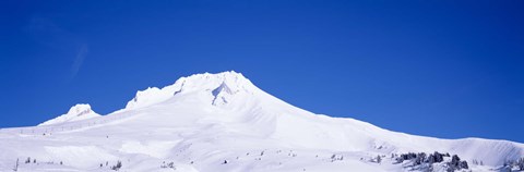 Framed Snowcapped mountains, Mt Hood, Oregon, USA Print