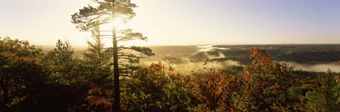 Framed Forest in autumn at sunset, Ottawa National Forest, Upper Peninsula, Michigan, USA Print
