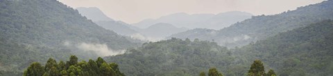 Framed Forest with mountain range, Bwindi Impenetrable Forest, Bwindi Impenetrable National Park, Uganda Print
