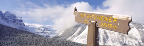 Framed Clark&#39;s Nutcracker (Nucifraga columbiana) perching on mountain sign, Mt. Kitchener, Jasper National Park, Alberta, Canada Print