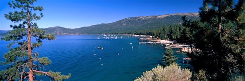 Framed Trees with lake in the background, Lake Tahoe, California, USA Print