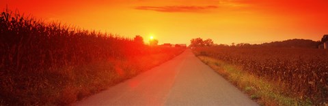 Framed Country road at sunset, Milton, Northumberland County, Pennsylvania, USA Print