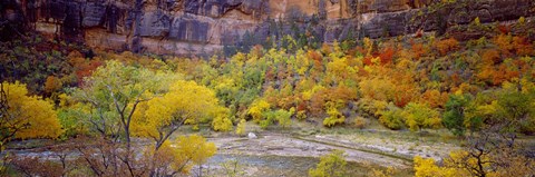 Framed Big Bend in fall, Zion National Park, Utah, USA Print