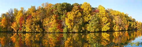 Framed Reflection of trees in a lake, Strawbridge Lake, Moorestown, New Jersey, USA Print