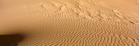 Framed Great Sand Dunes National Park, Colorado, USA (close-up) Print