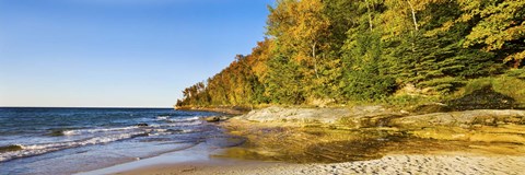 Framed Trees on the beach, Miner&#39;s Beach, Pictured Rocks National Lakeshore, Upper Peninsula, Michigan, USA Print