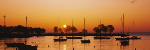 Framed Silhouette of sailboats in a lake, Lake Michigan, Chicago, Illinois, USA Print