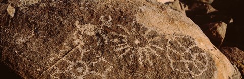 Framed Close-up of petroglyphs on a rock, Saguaro National Park, Tucson, Arizona, USA Print