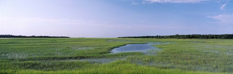 Framed USA, Florida, Jacksonville, Atlantic Coast, Salt Marshes Print