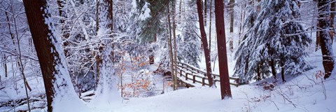 Framed Winter footbridge Cleveland Metro Parks, Cleveland OH USA Print