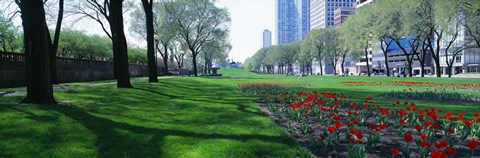 Framed Public Gardens, Loop, Cityscape, Grant Park, Chicago, Illinois, USA Print