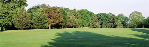 Framed Trees on a golf course, Woodholme Country Club, Baltimore, Maryland, USA Print