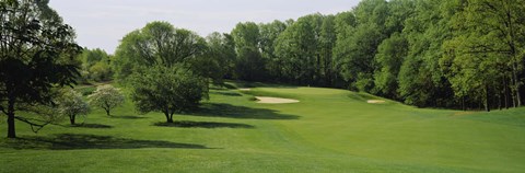 Framed Trees On A Golf Course, Baltimore Country Club, Baltimore, Maryland, USA Print