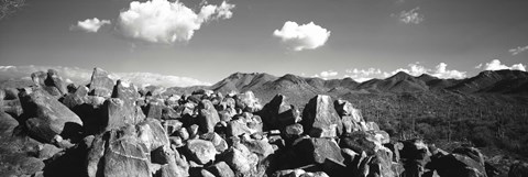 Framed Boulders on a landscape, Saguaro National Park, Tucson, Pima County, Arizona, USA Print