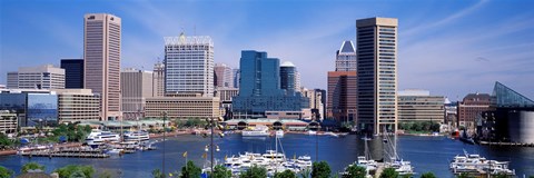 Framed Inner Harbor Federal Hill Skyline Baltimore MD Print