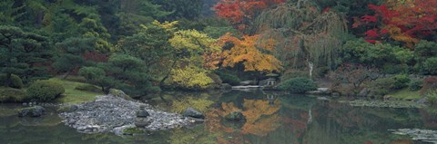 Framed Pond view in the Japanese Garden Seattle WA Print