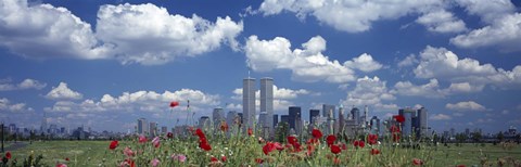 Framed Red Flowers in a park with buildings in the background, Manhattan Print