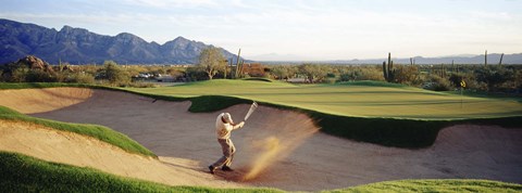 Framed Side profile of a man playing golf at a golf course, Tucson, Arizona, USA Print