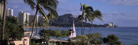 Framed Palm trees on Waikiki Beach, Oahu, Honolulu, Hawaii Print