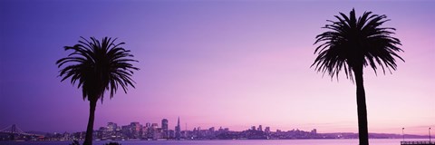 Framed San Francisco skyline between 2 palm trees, California Print