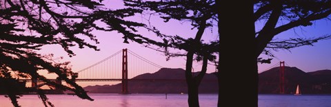 Framed Suspension Bridge Over Water, Golden Gate Bridge, San Francisco, California, USA Print
