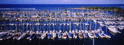 Framed High angle view of boats in a row, Ala Wai, Honolulu, Hawaii Print