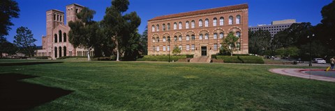 Framed Lawn in front of a Royce Hall and Haines Hall, University of California, City of Los Angeles, California, USA Print