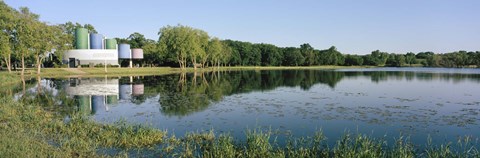 Framed Reflection of trees in water, Warner Park, Madison, Dane County, Wisconsin, USA Print