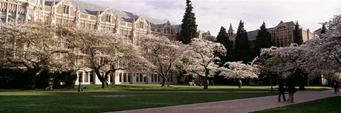 Framed University of Washington, Seattle, King County, Washington State Print