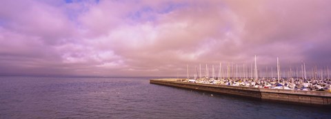 Framed Yachts moored at a harbor, San Francisco Bay, San Francisco, California, USA Print