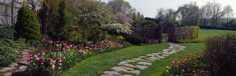 Framed Flowers in a garden, Ladew Topiary Gardens, Monkton, Baltimore County, Maryland, USA Print
