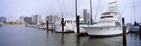 Framed Yachts at a harbor with buildings in the background, Corpus Christi, Texas, USA Print