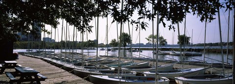 Framed Boats moored at a dock, Charles River, Boston, Suffolk County, Massachusetts, USA Print