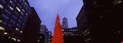 Framed Low angle view of a Christmas tree, San Francisco, California, USA Print