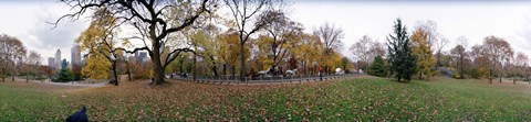 Framed Horse and carriages in a park, Central Park, Manhattan, New York City, New York State, USA Print