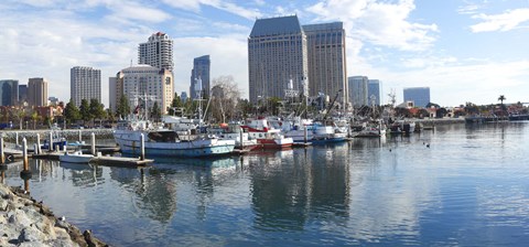 Framed Fishing boats docked at a marina, San Diego, California, USA Print