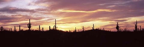 Framed Purple and Orange Sky Over Saguaro Nataional Park, Arizona Print